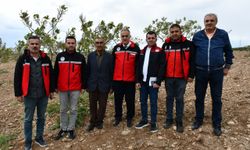 fıstık alanı 6 yılda 75 bin dönümden 154 bine çıktı