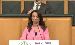DEM Parti'den 'Barış Komisyonu' çağrısı: ‘TBMM'de tam yetkili bir komisyona ihtiyaç var’ 