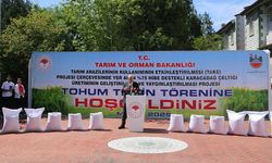 Diyarbakır'da 45 çiftçiye 27 ton sertifikalı çeltik tohumu desteği