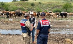 Diyarbakır'da jandarmadan besicilere dolandırıcılık ve hırsızlığa karşı uyarı
