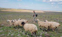 Diyarbakırlı çoban çektiği fotoğraflarla yöresini tanıtıyor