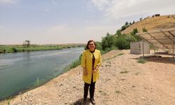 Karkamış'a kuş gözlem ve fotoğraf terasları inşa edilecek
