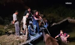 İtfaiye 3 Metrelik havuza düşen ineği kurtardı