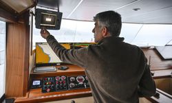 İstanbul Boğazı'nda deniz çayırlarında müsilaj