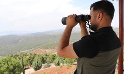 Kilis'te orman yangınlarına karşı karadan ve havadan denetim yapılıyor
