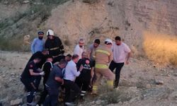 Mardin'de devrilen otomobilin sürücüsü yaralandı