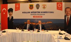 Mardin'de "İçişleri Bakanlığı Kolluk Gözetim Komisyonu Toplantısı" yapıldı