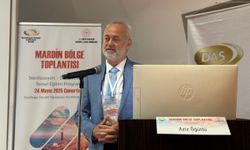 Mardin'de sağlık çalışanlarına sterilizasyon ve dezenfeksiyon eğitimi verildi