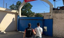 Mardin'de narkotik operasyonlarında 4 zanlı tutuklandı