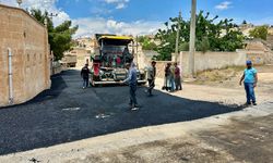 Başkan Şahin, asfalt çalışmalarını inceledi