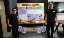 Öğrencilerden mandalinanın raf ömrünü uzatan "doğal solüsyon"