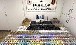 Narkotik, kaçakçılık ve asayiş operasyonları 44 kişiye işlem yapıldı