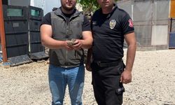 Şırnak'ta yaralı ve bitkin bulunan kaplumbağa ve 2 kuş tedavi altına alındı