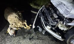Otomobil süreye çarptı 3 kişi yaralandı
