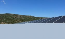 Tat Gıda'nın ilk güneş enerjisi santrali faaliyete geçti