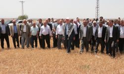 Başkan Bayraktar, kuraklıktan etkilenen tarlaları inceledi