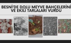 Zirai Donun Ardından Dolu Yağışı Çiftçileri Vurdu