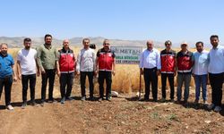 Adıyaman'da kuraklığa dayanıklı tohum incelemesi