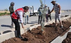 Başkan Tutdere, dönüşüm çalışmalarını yerinde inceledi