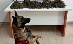 Aracında yasaklı madde ele geçirilen şüpheli tutuklandı