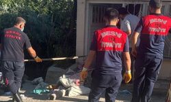 Besni'de bir eve giren yılanı itfaiye ekipleri yakaladı