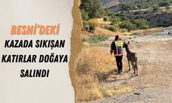 Besni'deki Kazada Kamyonda Sıkışan Katırlar Doğaya Salındı