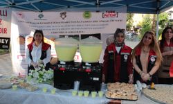 Coğrafi işaretle tescillenen "Cizre limonatası" tanıtıldı