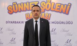 Diyarbakır ve Mardin'de toplu sünnet şöleni yapıldı