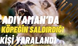 Adıyaman'da Köpek Saldırısı: Yabancı Uyruklu kişi Yaralandı