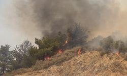 Hatay'da ormanlık alanda yangın çıktı