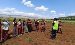 Anız yangınlarına yönelik dron destekli denetim yapılıyor