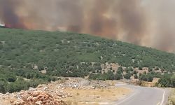 Gaziantep'te çıkan orman yangına müdahale ediliyor