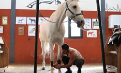 Hobi olarak biniciliğe başlayan doktor lisanslı sporcu oldu