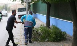 Gaziantep'te kuvvetli rüzgar etkili oldu