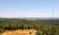 Ormanlar termal dronla korunuyor