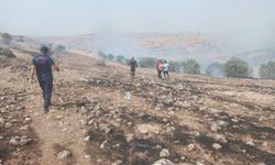 Mardin'de ormanlık alanda çıkan yangın kontrol altına alındı