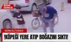 Köpeğe şiddet uygulayan şüpheli yakalandı