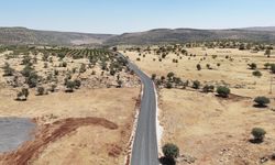 Mardin'de kırsaldaki yaklaşık 20 yıllık yol sorunu çözüldü
