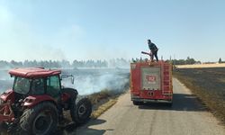 Mardin'de yaklaşık 350 dekar buğday ekili alan yandı