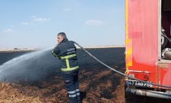 Mardin'de yaklaşık 400 dekar buğday ekili alan yandı
