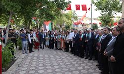 Yeşilli Uluslararası Kültür Sanat ve Kiraz Festivali