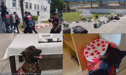 NARKOKAPAN-MUĞLA Operasyonuyla Zehir Tacirlerine Ağır Darbe