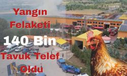 Yangın Felaketi 140 Bin Tavuk Telef Oldu