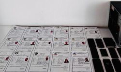 Şanlıurfa merkezli suç örgütü operasyonu