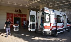Şanlıurfa'da tırın çarptığı yaşlı kadın öldü