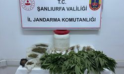 Şanlıurfa'da uyuşturucu operasyonunda 1 şüpheli yakalandı
