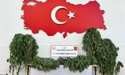 Şanlıurfa'da Narkotik operasyonunda 6 şüpheli yakalandı