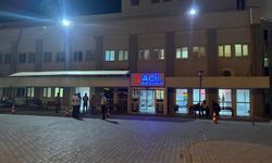 Siirt'te iki otomobilin çarpıştığı kazada 5 kişi yaralandı