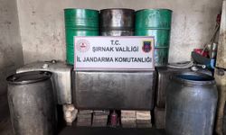 Kaçakçılık operasyonlarında 10 kişi hakkında işlem yapıldı