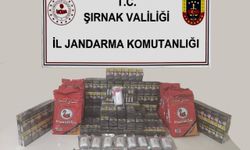 Kaçakçılık operasyonlarında 13 kişi hakkında işlem yapıldı